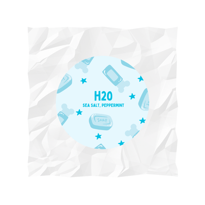 H2O Scent Collection Magic Melt Co. H2O Scent Collection